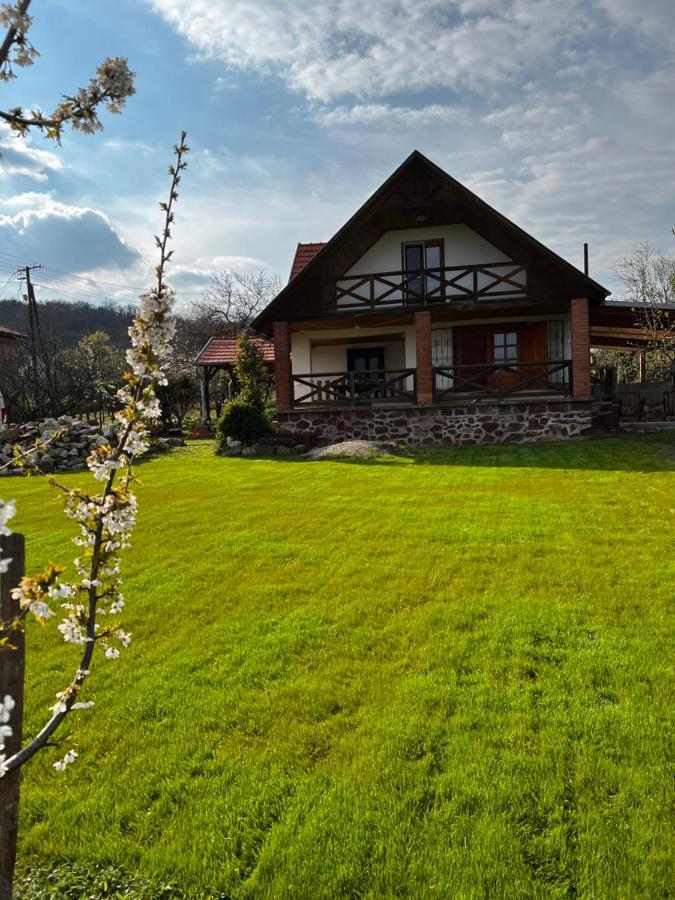 Szőlőskert Studio Apartman Ábrahámhegy Esterno foto